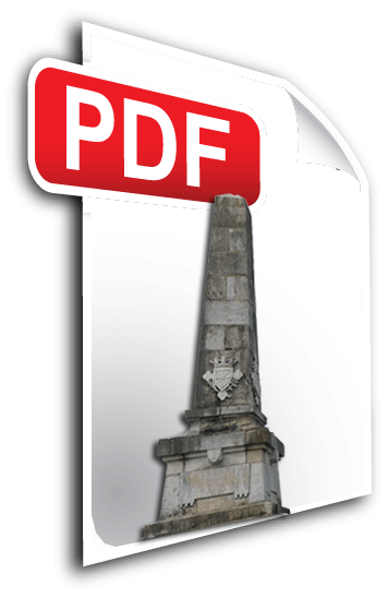 PDF-icon