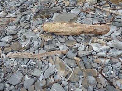 San Juan de Luz 4 San Juan de Luz 4